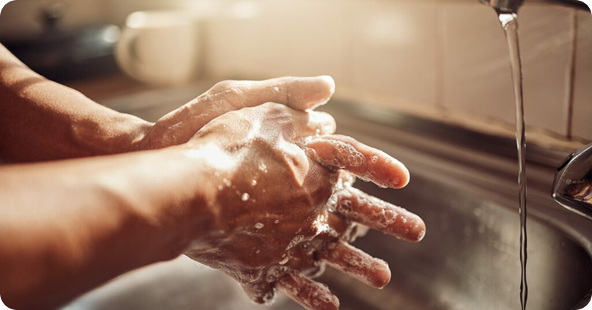 Disinfection and sanitation